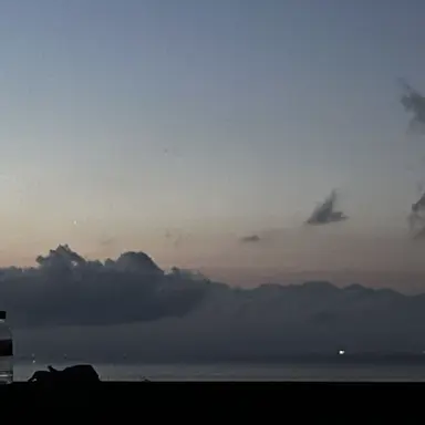 Profile image of 音