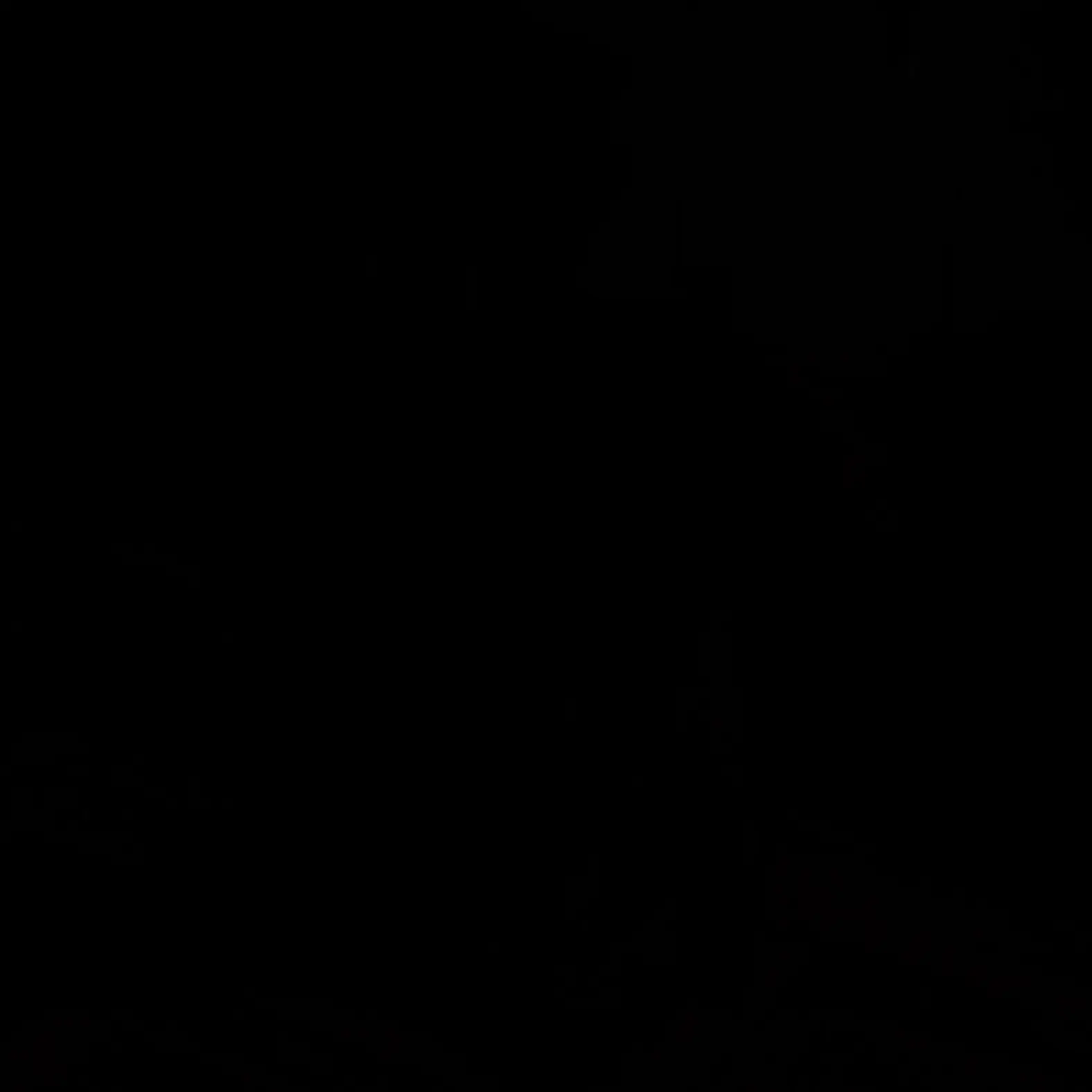 flqkf의 오지콤발동