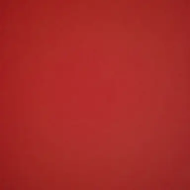 Profile image of シノ