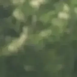 이지훈