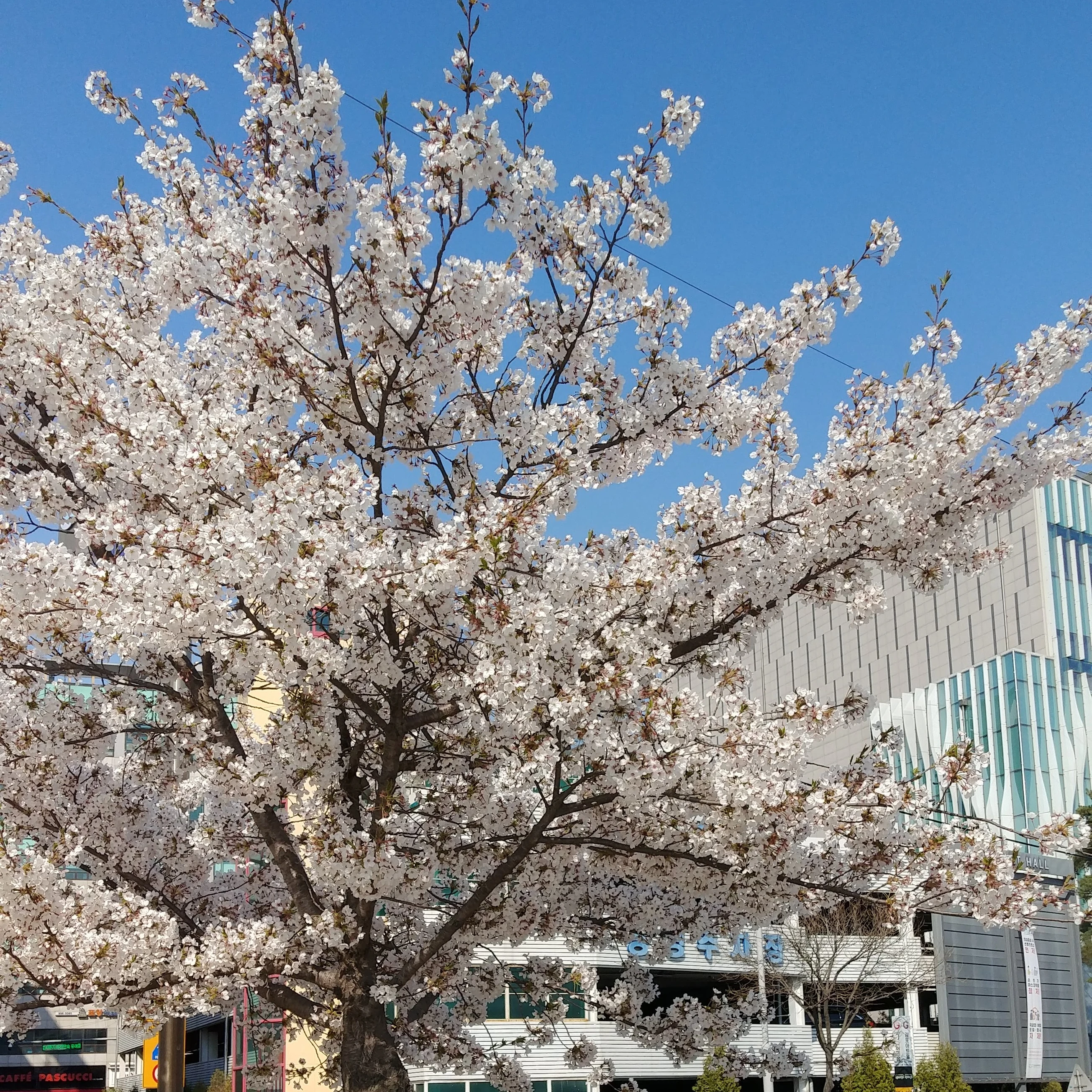 팡팡스튜디오 여고