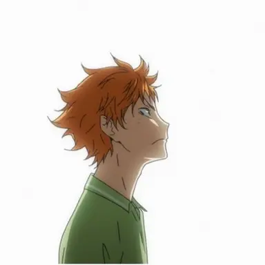 Profile image of 日向翔陽