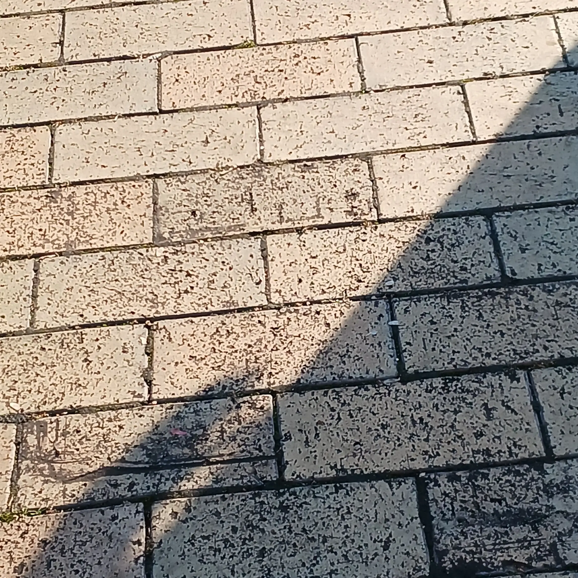 VagueOtter7836의 永瀬廉