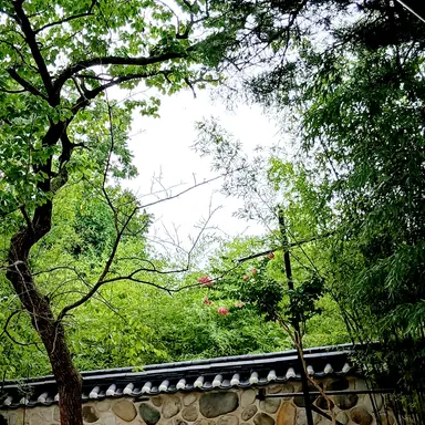Profile image of 공룡