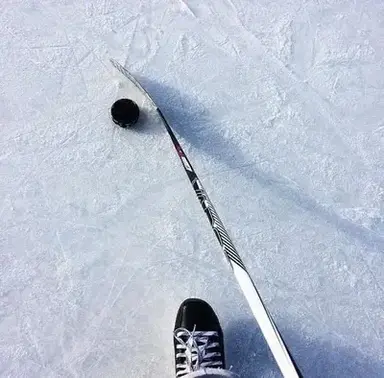 Profile image of hockey players