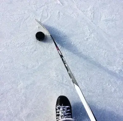 IronicFort7604의 hockey players