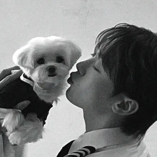 jeonwonwoo717의 부승관