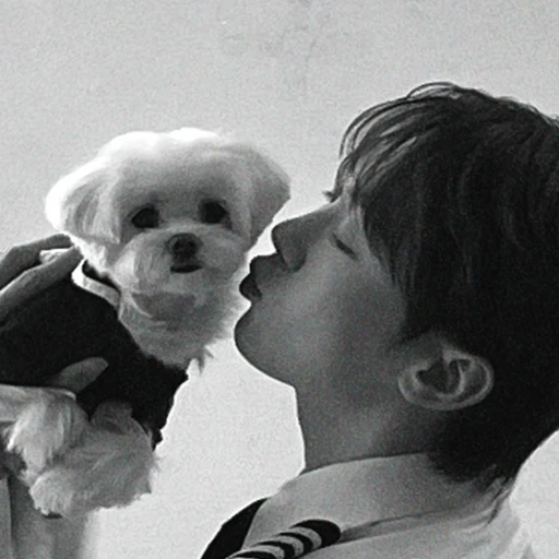 부승관