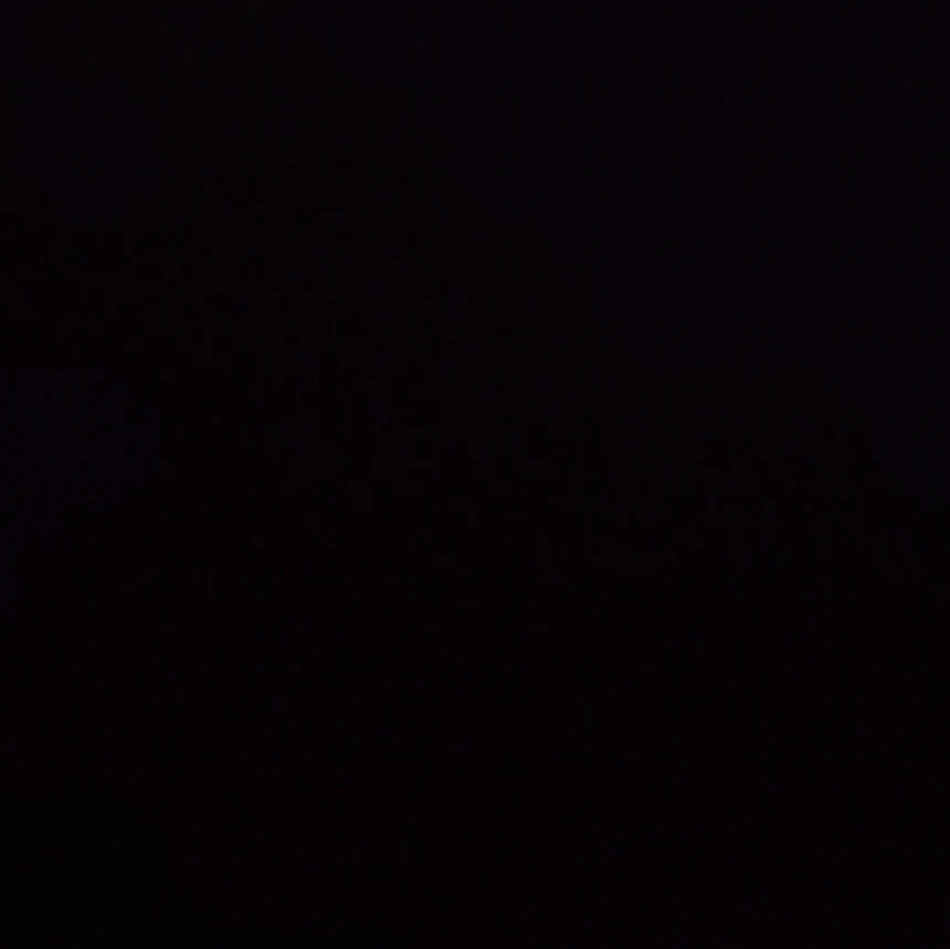 장한음