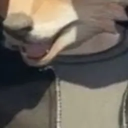 Profile image of 小峯さん