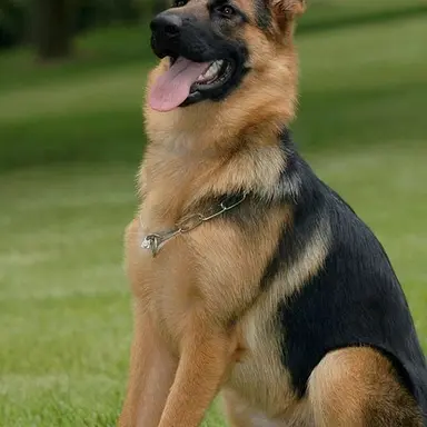 Profile image of 썬더