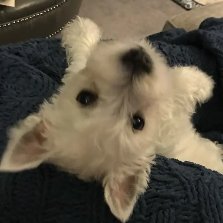 VapidHeart8488의 보육원 2