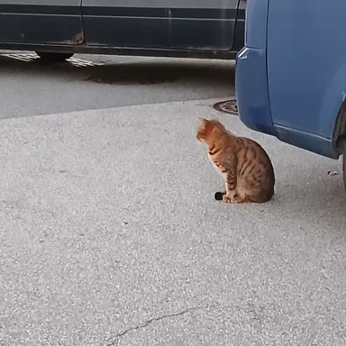 Profile image of ㆍ