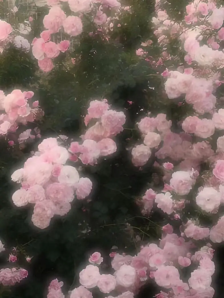 NimbleRobin2486의 꽃에 주는 물