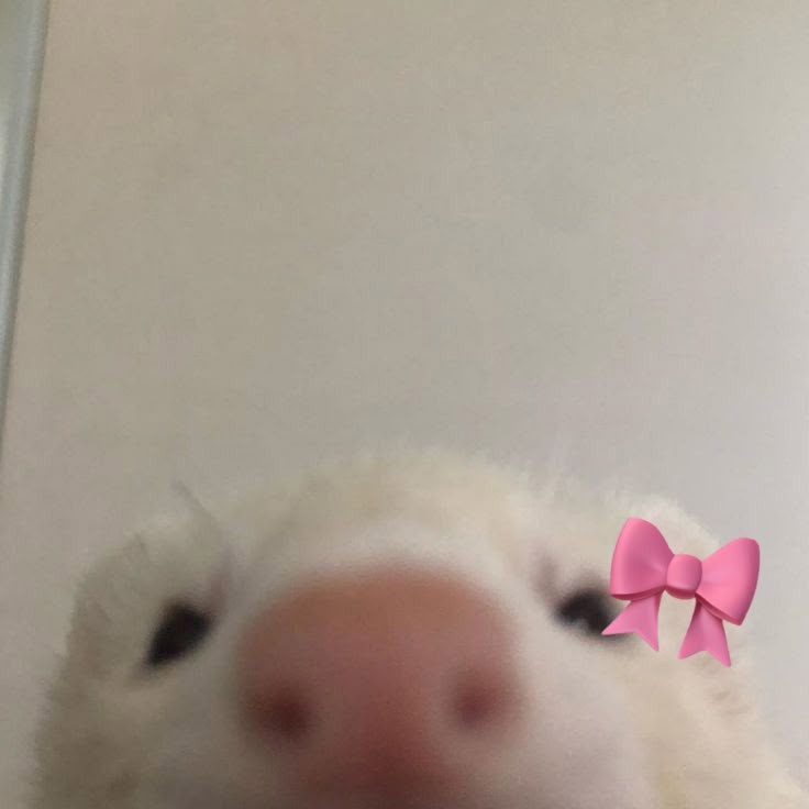 황현진 대표 이미지