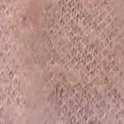 Profile image of 최슩철