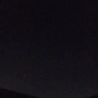 Profile image of 여우