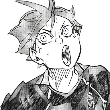 Profile image of 日向翔陽