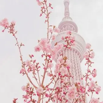 Profile image of 밥풀