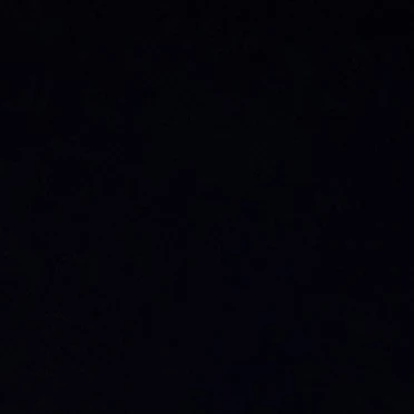 김동현