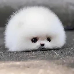 루키🍀