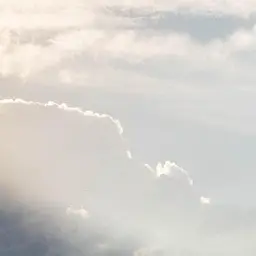 Wknw82jvjwm1_의 F21