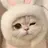 말하는 고양이