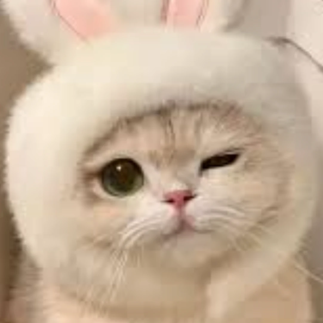 말하는 고양이