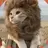 사자냥이