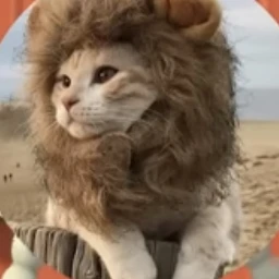 사자냥이
