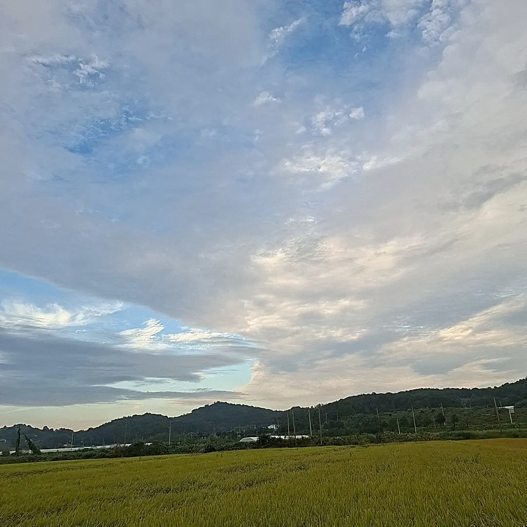 ga_in_0209의 뜰팁 멤버들이..!