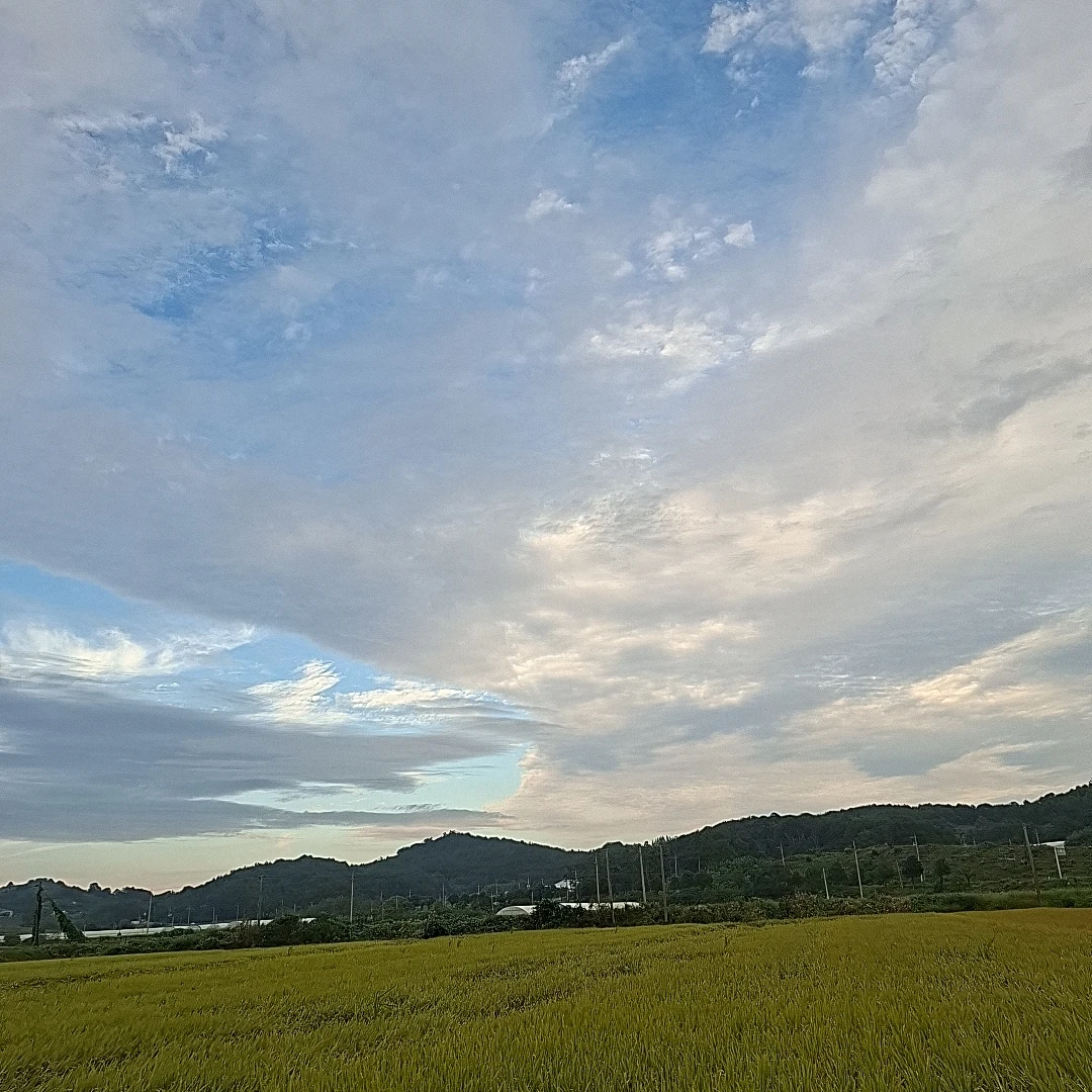 뜰팁 멤버들