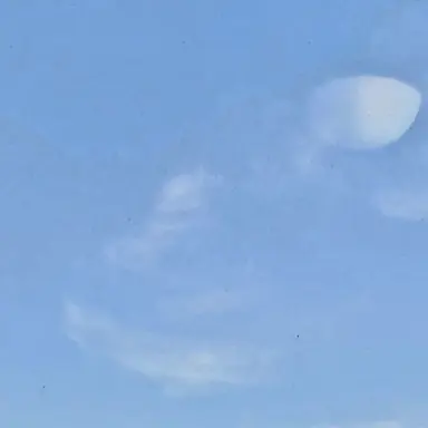 Profile image of アルガリア