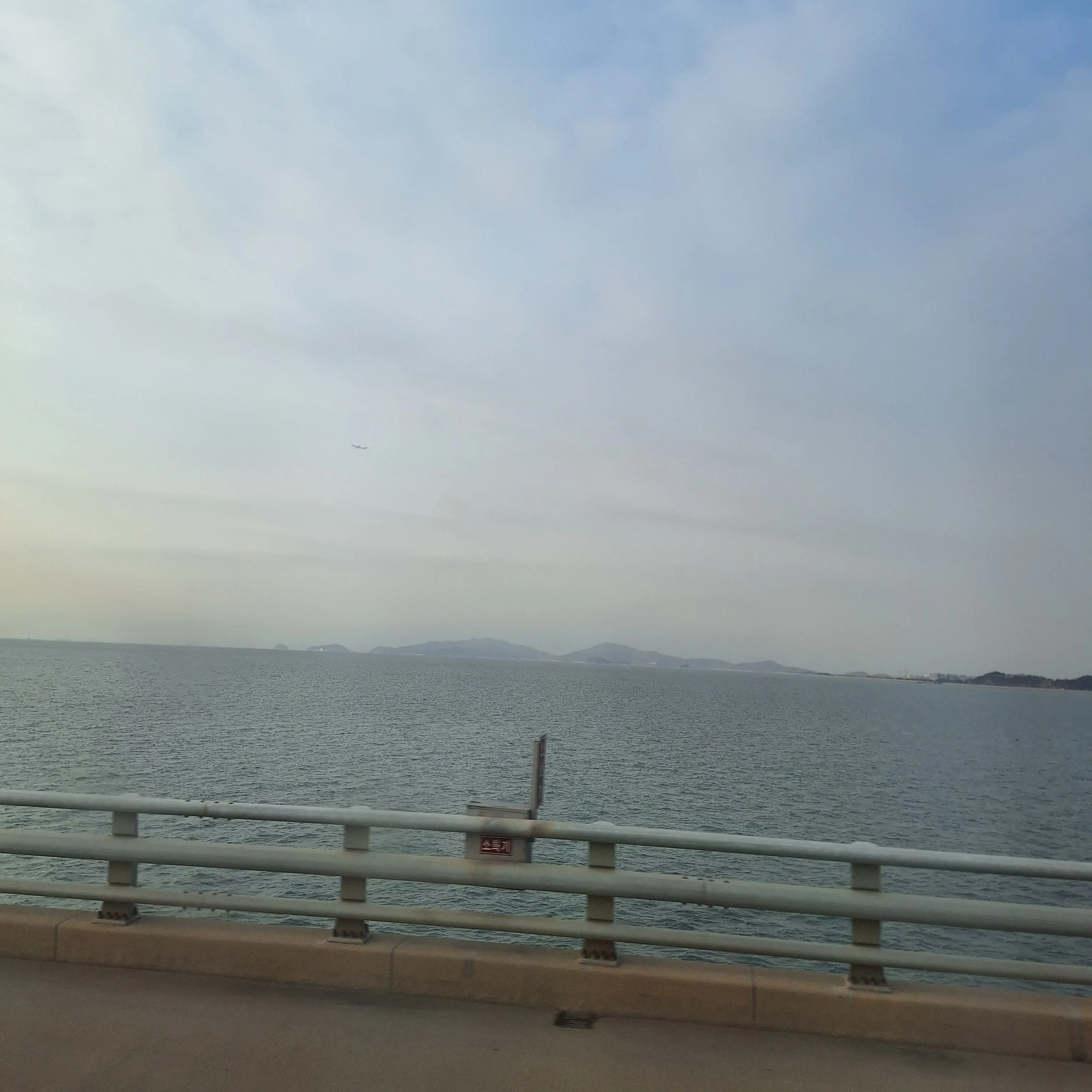 RealSash1866의 ㅁㅈ