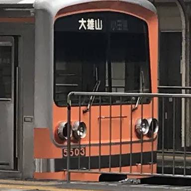 Profile image of 大雄山線