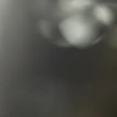 Profile image of 안시온1