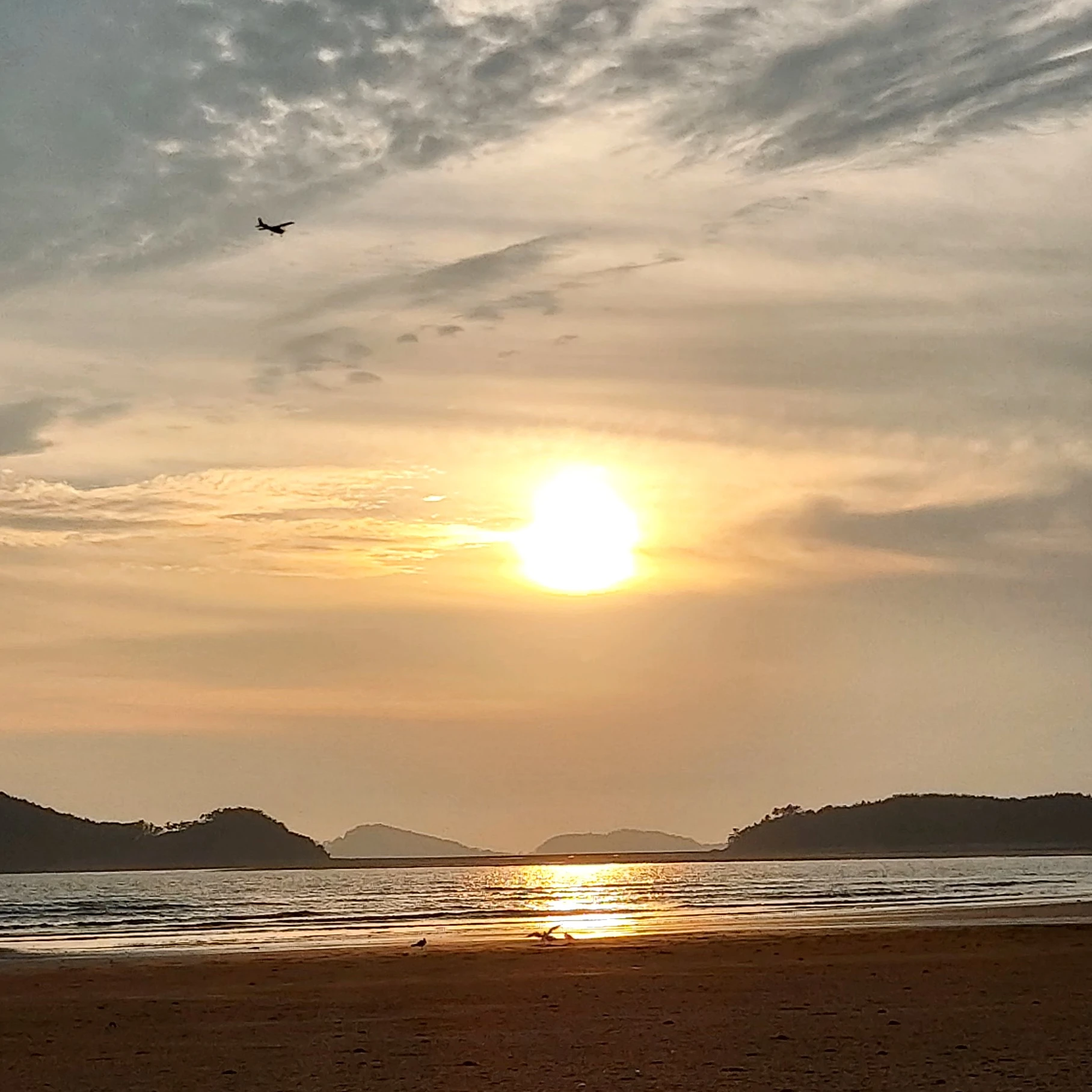 박권희