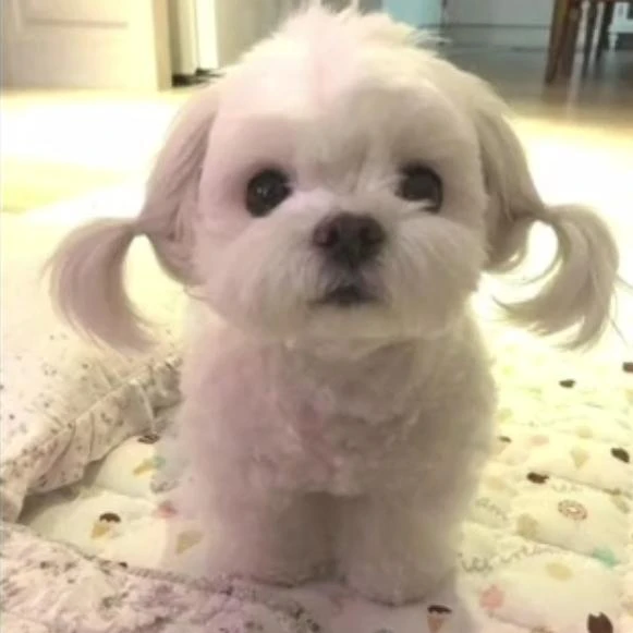 유리