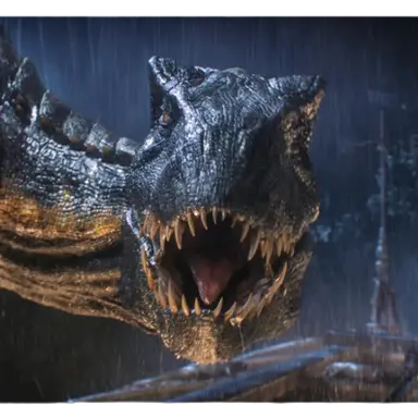 Profile image of 인도랩터