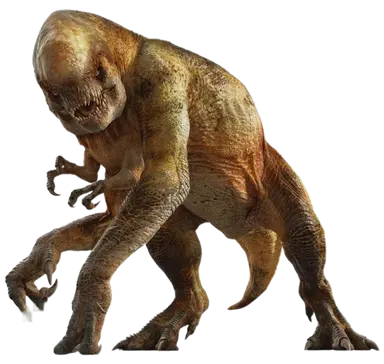 Profile image of D-렉스