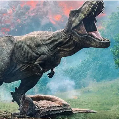 Profile image of 렉시