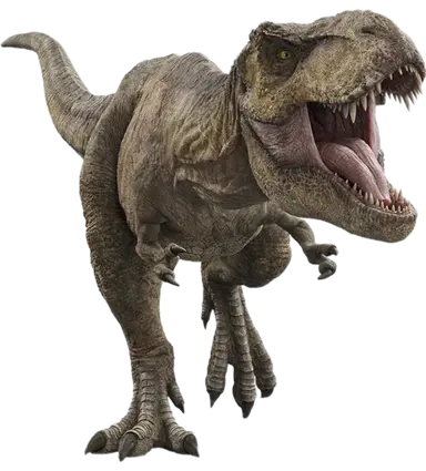 Profile image of 렉시