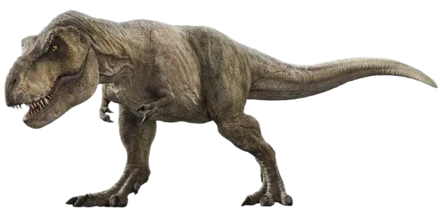 Profile image of 렉시