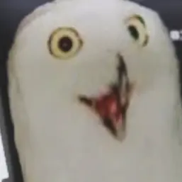 Profile image of 올빼미 사장