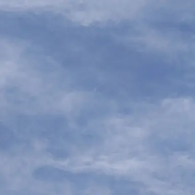 Profile image of 渡辺翔太