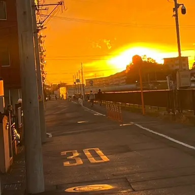 Profile image of 向井康二