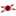 마이트