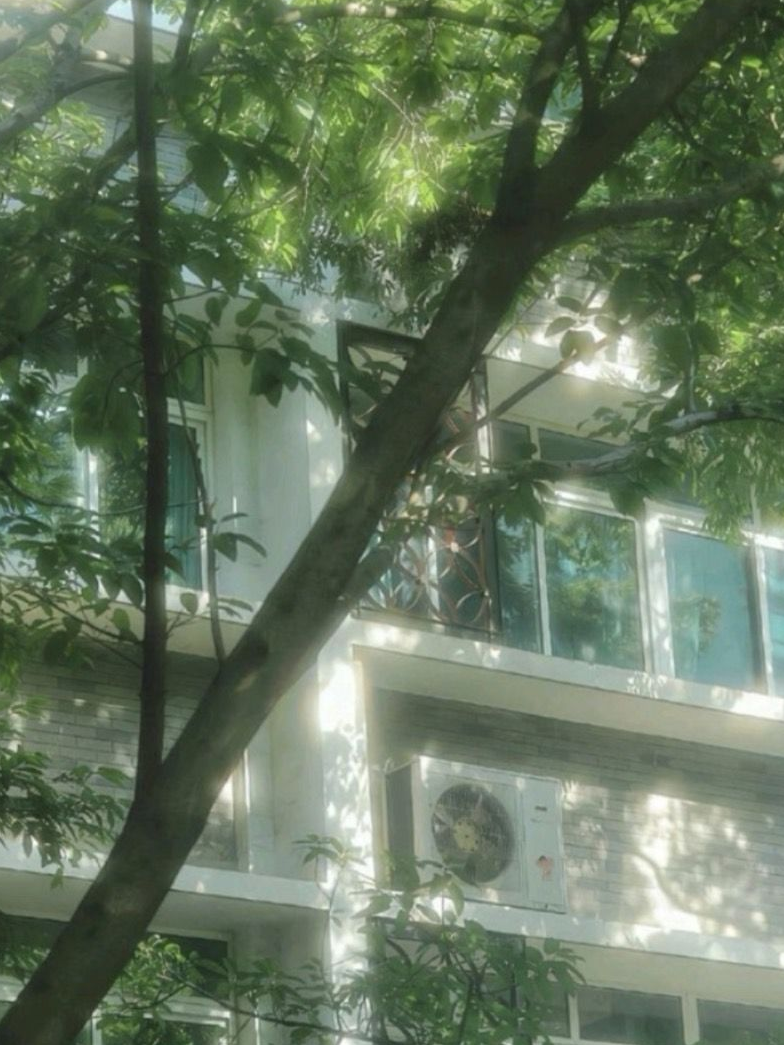 🌸Ryu 리유고 수학여행🍡시리즈2 대표 이미지