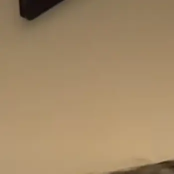 BlueCrib4460의 ㅁㅈㅎ