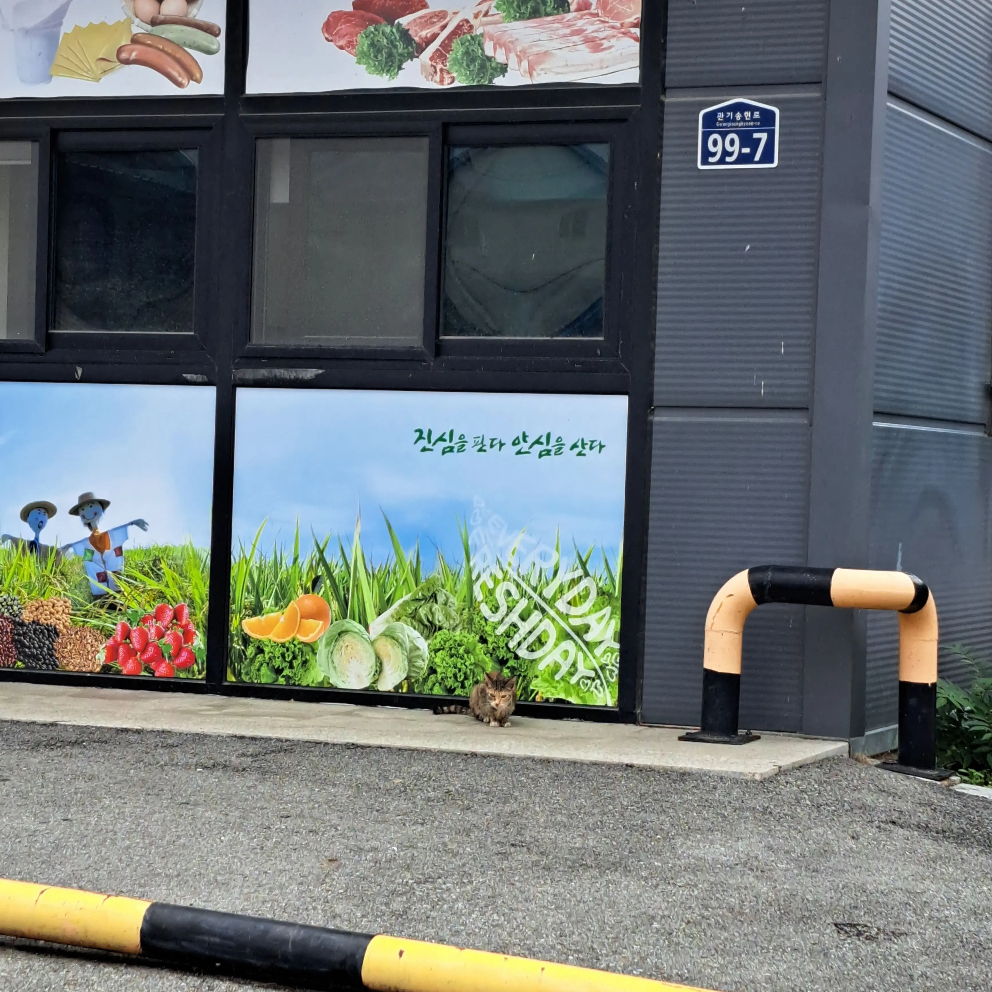 FetidEasel0801의 양아지